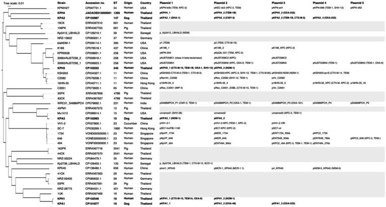 https://cdn.ncbi.nlm.nih.gov/pmc/blobs/d2ee/11148352/83e7a938caa8/fvets-11-1386496-g001.jpg