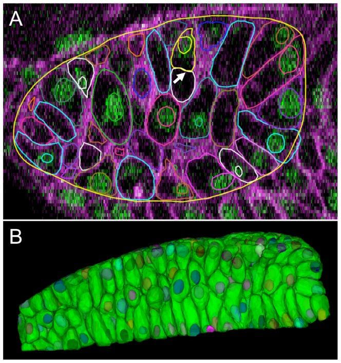 https://cdn.ncbi.nlm.nih.gov/pmc/blobs/d2ee/3516542/082200b31ad6/pcbi.1002780.g008.jpg