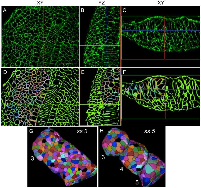 https://cdn.ncbi.nlm.nih.gov/pmc/blobs/d2ee/3516542/6efb334d690a/pcbi.1002780.g005.jpg