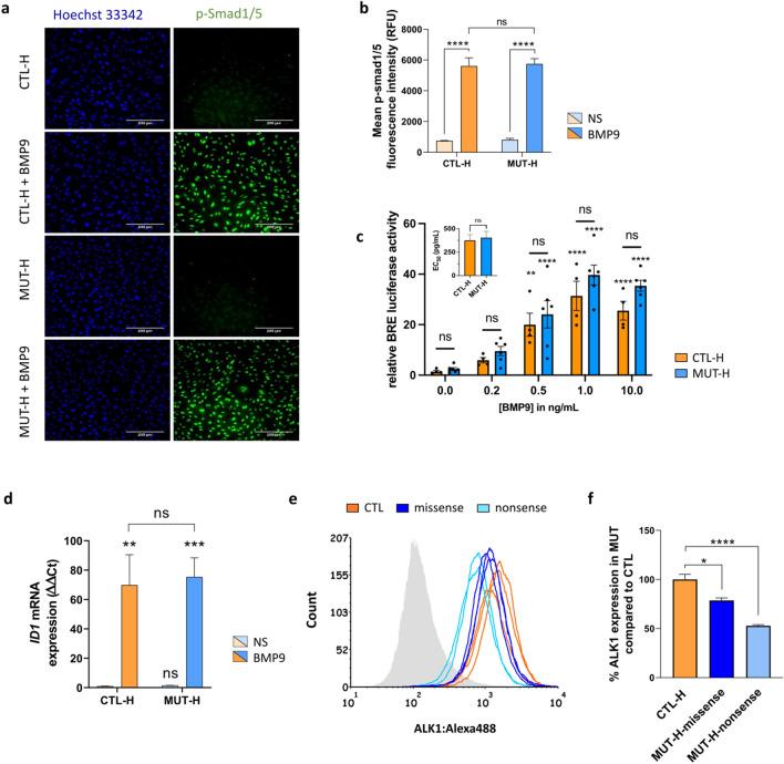 https://cdn.ncbi.nlm.nih.gov/pmc/blobs/d2f0/11021321/201e6748acea/10456_2023_9902_Fig3_HTML.jpg