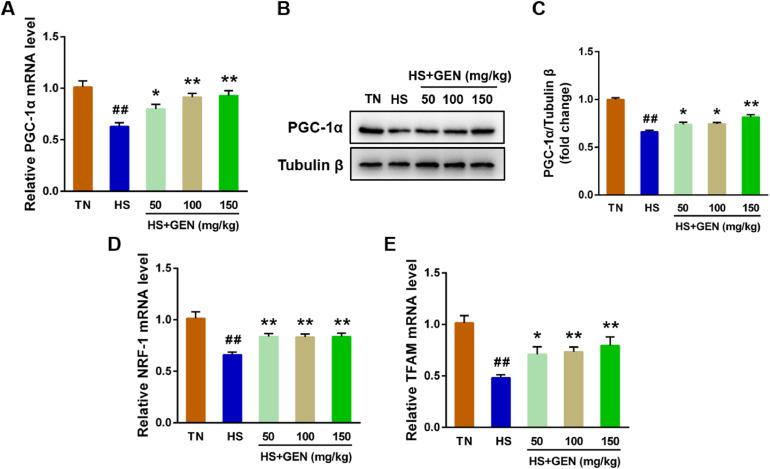 https://cdn.ncbi.nlm.nih.gov/pmc/blobs/d2f3/10694754/a2498cc5435b/gr6.jpg