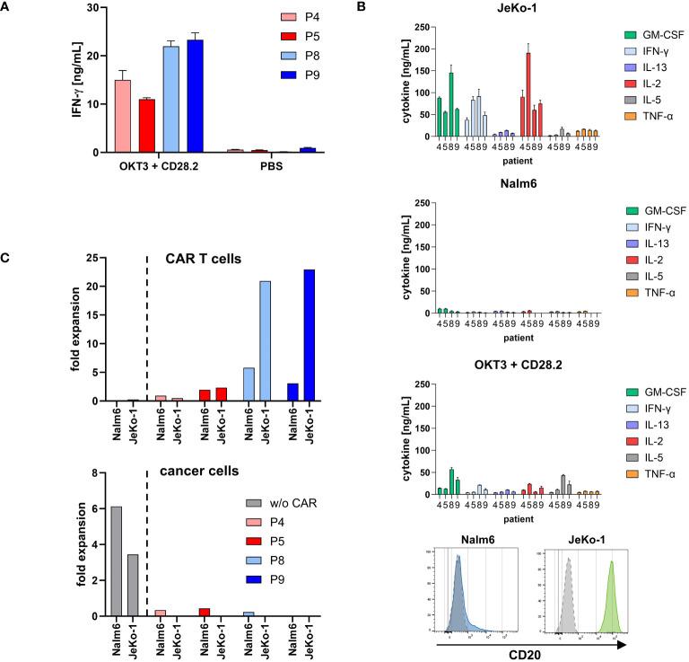 https://cdn.ncbi.nlm.nih.gov/pmc/blobs/d2f3/11461191/fb6894e06fef/fimmu-15-1328368-g005.jpg