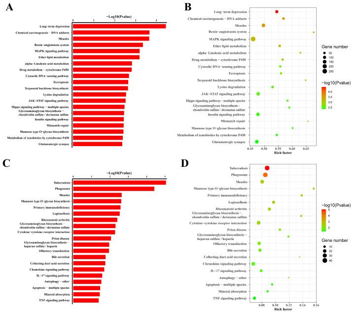 https://cdn.ncbi.nlm.nih.gov/pmc/blobs/d2f4/11430282/09c1860e9674/biomolecules-14-01045-g007.jpg
