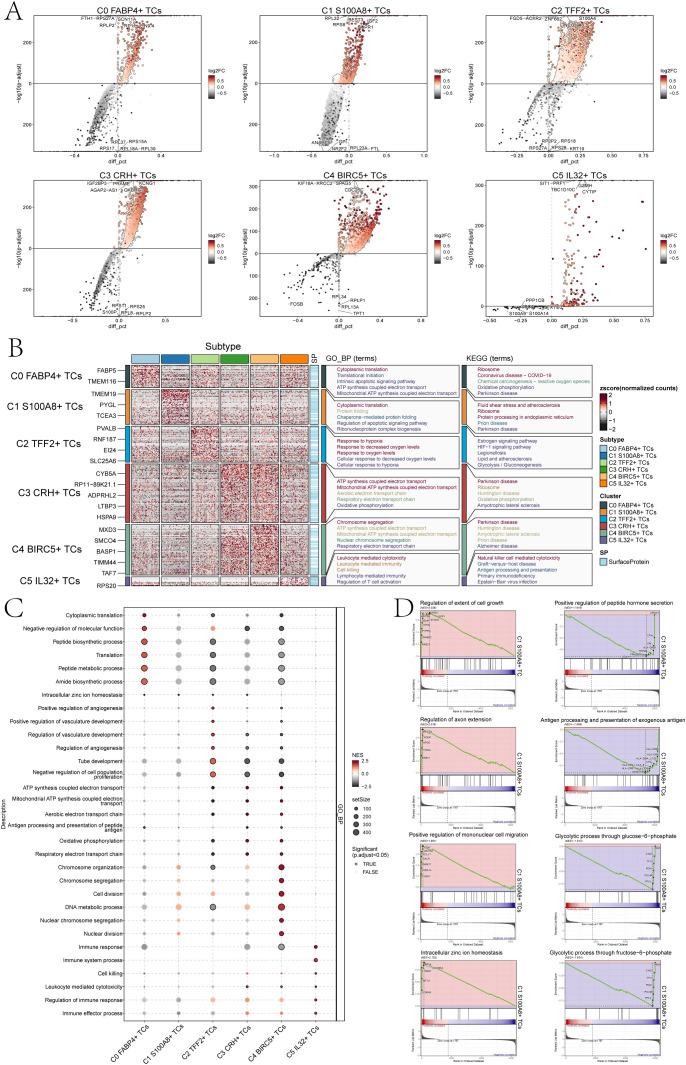 https://cdn.ncbi.nlm.nih.gov/pmc/blobs/d2f5/11649672/8755b26aeb70/fimmu-15-1485109-g004.jpg