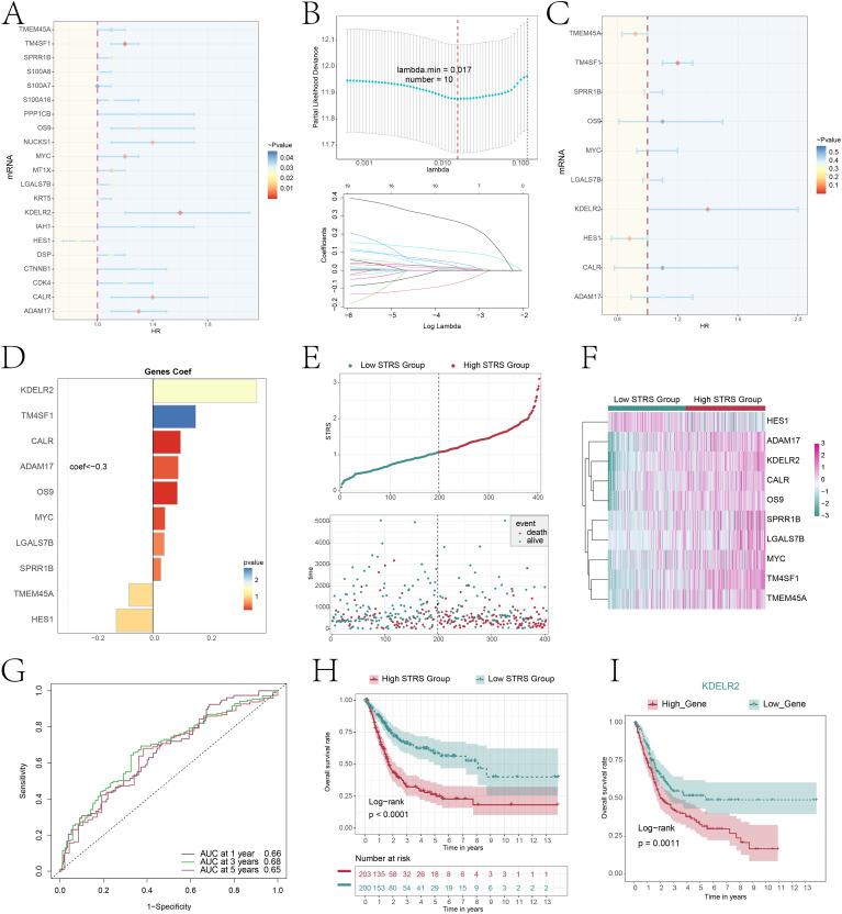 https://cdn.ncbi.nlm.nih.gov/pmc/blobs/d2f5/11649672/8ddd778600e5/fimmu-15-1485109-g008.jpg