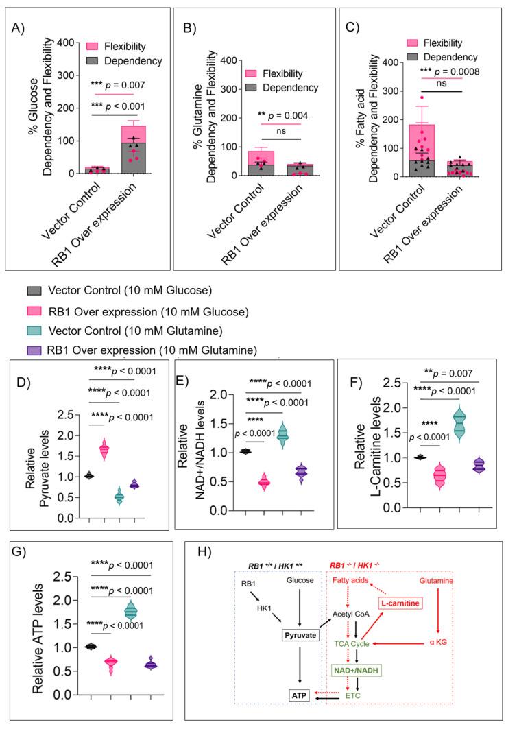 https://cdn.ncbi.nlm.nih.gov/pmc/blobs/d2f5/9600484/18d927d60564/cells-11-03182-g005.jpg
