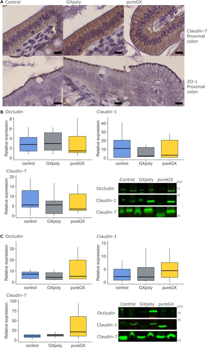 https://cdn.ncbi.nlm.nih.gov/pmc/blobs/d2f6/11398711/3ab0e7aa4319/jf3c07757_0003.jpg