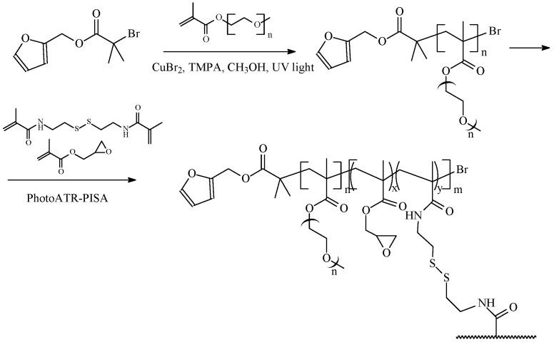https://cdn.ncbi.nlm.nih.gov/pmc/blobs/d2f7/11125046/d281dfcd61b2/polymers-16-01408-sch020.jpg