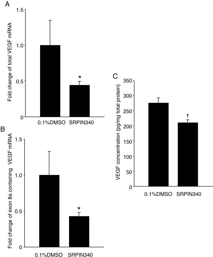 https://cdn.ncbi.nlm.nih.gov/pmc/blobs/d2fc/3611948/00ce01a1681a/mv-v19-536-f3.jpg