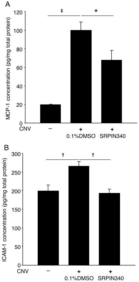 https://cdn.ncbi.nlm.nih.gov/pmc/blobs/d2fc/3611948/b1f2f7b13e80/mv-v19-536-f4.jpg