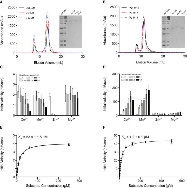 https://cdn.ncbi.nlm.nih.gov/pmc/blobs/d2fc/8286833/c6ff127011e0/BCJ-478-2697-g0002.jpg