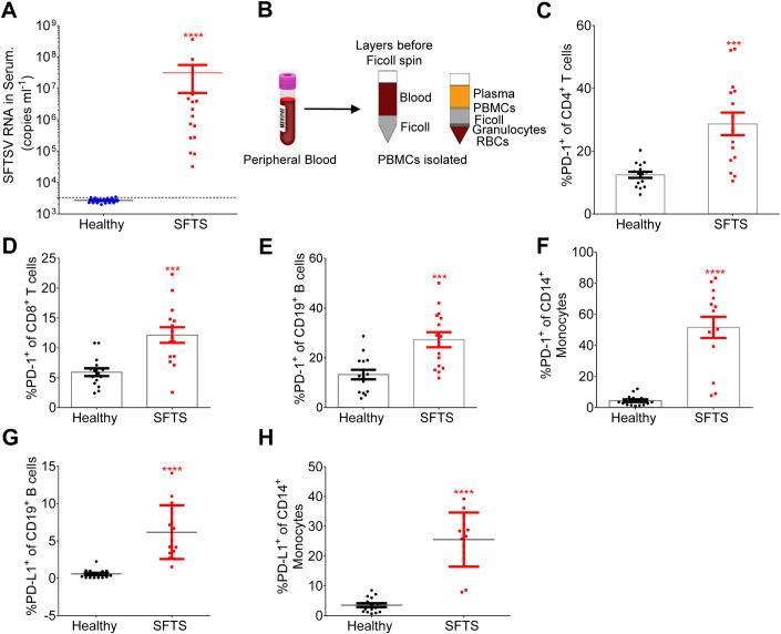 https://cdn.ncbi.nlm.nih.gov/pmc/blobs/d2fd/10940662/33c01147eb16/44321_2024_26_Fig1_HTML.jpg