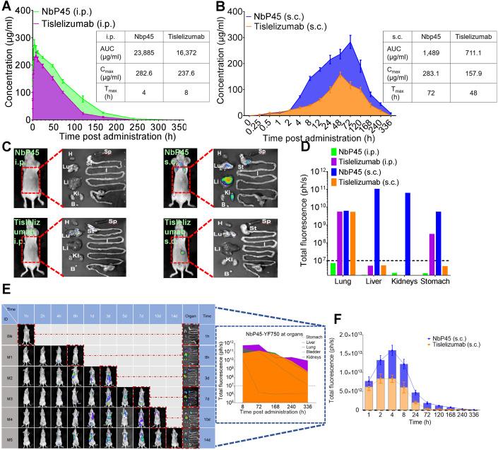 https://cdn.ncbi.nlm.nih.gov/pmc/blobs/d2fd/10940662/c4a6220e931d/44321_2024_26_Fig6_HTML.jpg