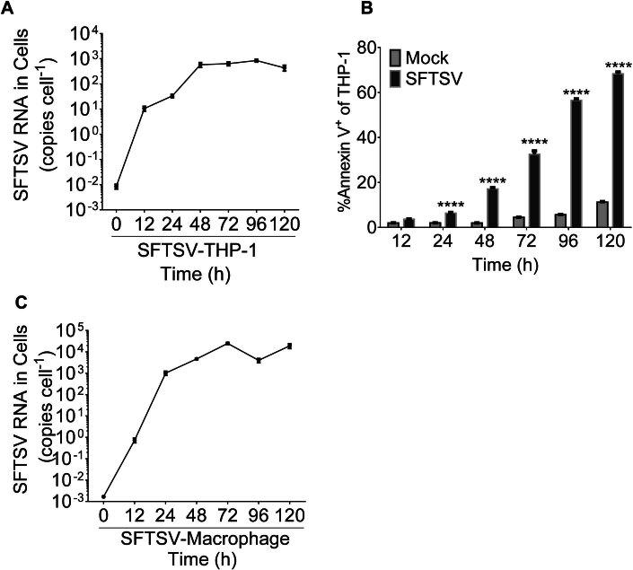 https://cdn.ncbi.nlm.nih.gov/pmc/blobs/d2fd/10940662/d2653cfbf352/44321_2024_26_Fig11_ESM.jpg