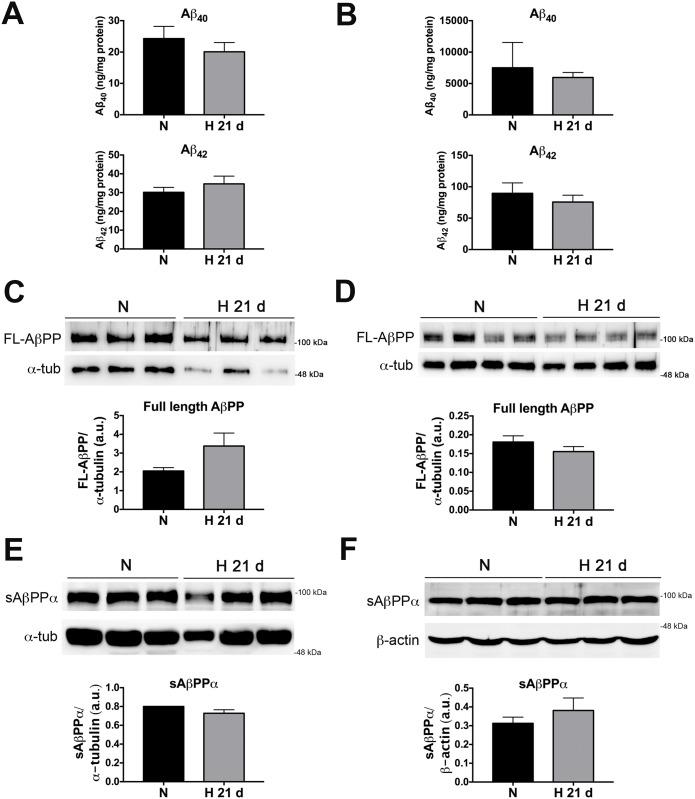 https://cdn.ncbi.nlm.nih.gov/pmc/blobs/d2fd/5242476/75395f54957b/pone.0170345.g005.jpg