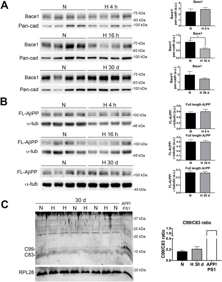 https://cdn.ncbi.nlm.nih.gov/pmc/blobs/d2fd/5242476/a2b7501eff06/pone.0170345.g004.jpg