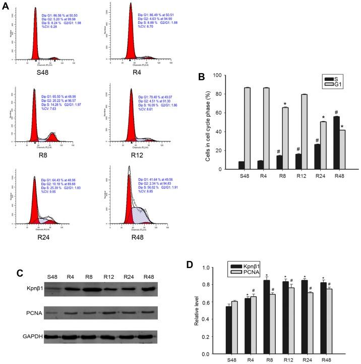 https://cdn.ncbi.nlm.nih.gov/pmc/blobs/d2fe/5783623/23b48b7abe76/OR-39-02-0554-g03.jpg