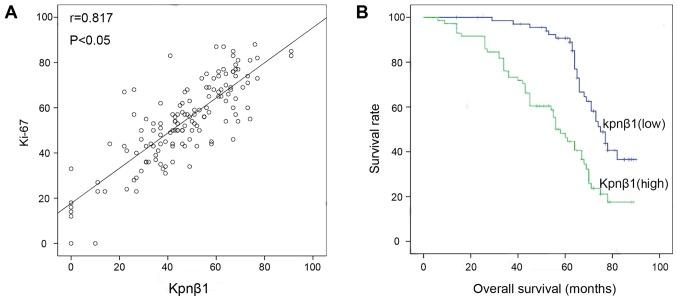 https://cdn.ncbi.nlm.nih.gov/pmc/blobs/d2fe/5783623/ca68a452a4cf/OR-39-02-0554-g02.jpg