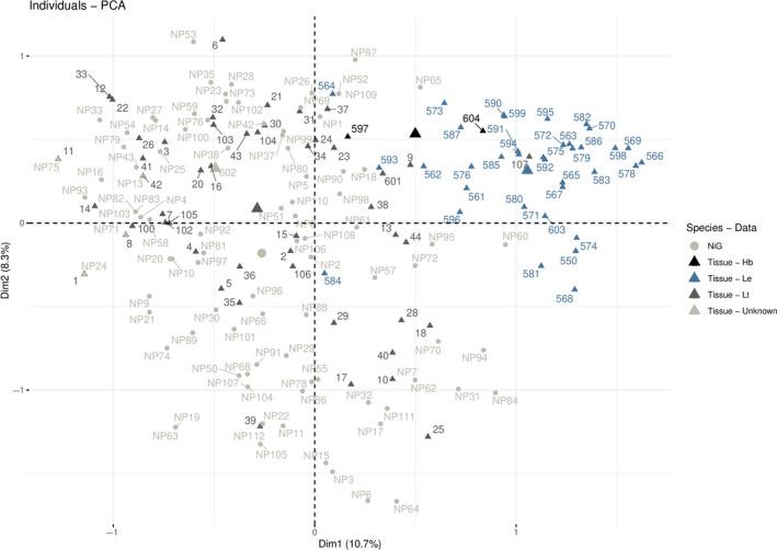https://cdn.ncbi.nlm.nih.gov/pmc/blobs/d2ff/7520196/6a5d9a536d32/ECE3-10-10150-g006.jpg