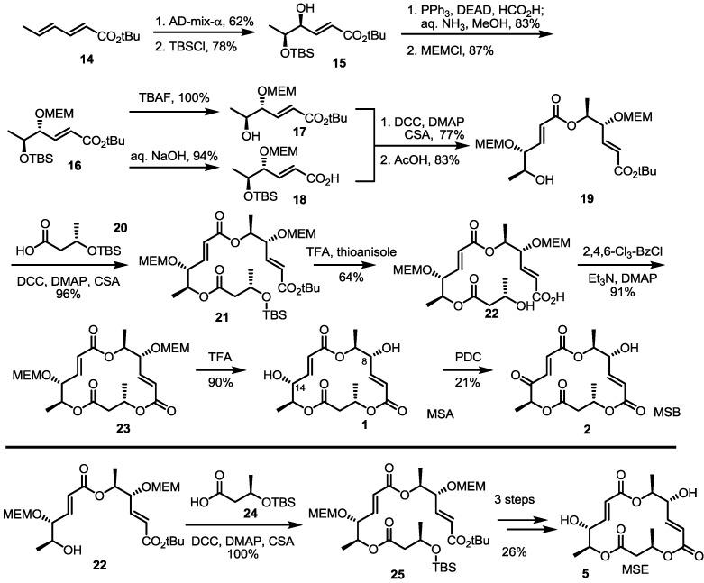 https://cdn.ncbi.nlm.nih.gov/pmc/blobs/d301/6271248/b42852b9b2b0/molecules-19-15982-g003.jpg