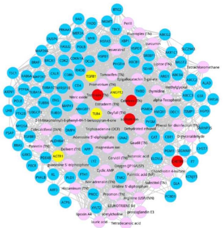 https://cdn.ncbi.nlm.nih.gov/pmc/blobs/d301/6401565/0974d361740d/IJPH-48-77-g002.jpg