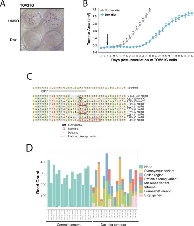 https://cdn.ncbi.nlm.nih.gov/pmc/blobs/d301/7910459/5384589a5126/41467_2021_21478_Fig4_HTML.jpg