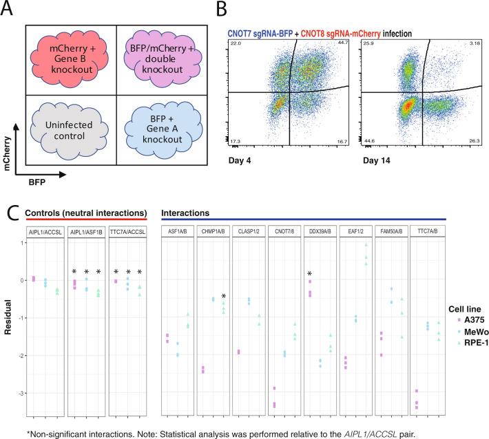 https://cdn.ncbi.nlm.nih.gov/pmc/blobs/d301/7910459/9a61ee4b98a6/41467_2021_21478_Fig2_HTML.jpg