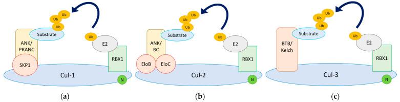https://cdn.ncbi.nlm.nih.gov/pmc/blobs/d301/8399815/451d3fa7fa0f/pathogens-10-01034-g001.jpg