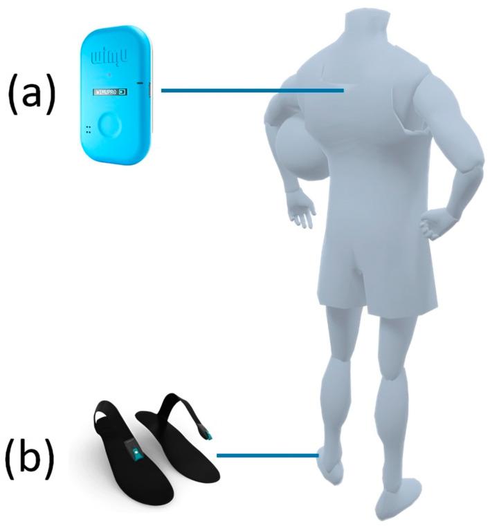 https://cdn.ncbi.nlm.nih.gov/pmc/blobs/d302/11679392/1acd3e6cd2f3/sensors-24-08087-g001.jpg