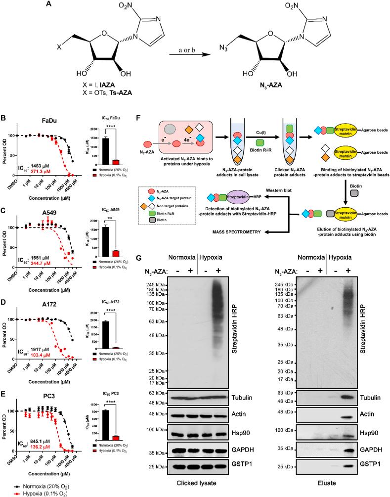 https://cdn.ncbi.nlm.nih.gov/pmc/blobs/d303/7933538/2f6c3be9411f/gr1.jpg