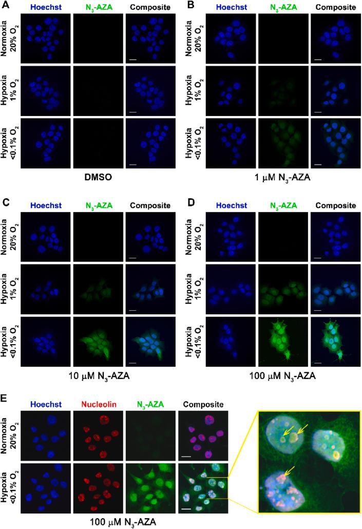 https://cdn.ncbi.nlm.nih.gov/pmc/blobs/d303/7933538/bd662ab066a6/gr4.jpg