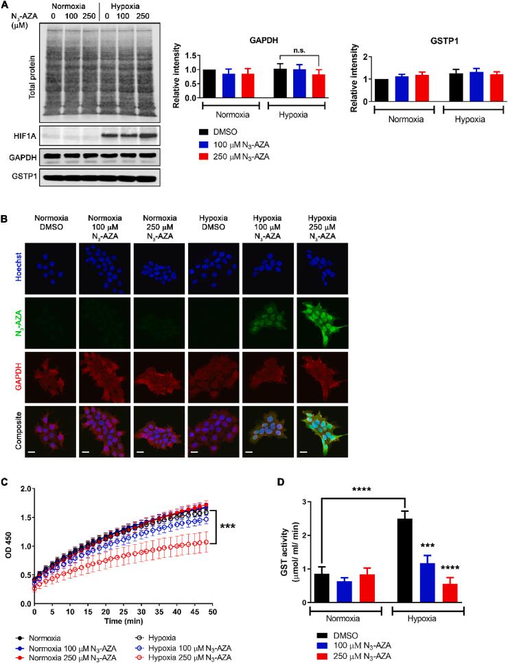 https://cdn.ncbi.nlm.nih.gov/pmc/blobs/d303/7933538/c177f600ec35/gr3.jpg