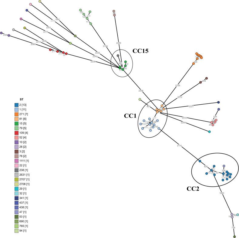 https://cdn.ncbi.nlm.nih.gov/pmc/blobs/d306/12210950/6cfa8e7f1674/spectrum.02849-24.f002.jpg