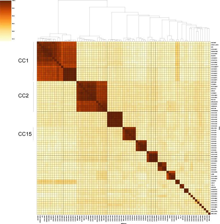 https://cdn.ncbi.nlm.nih.gov/pmc/blobs/d306/12210950/a4d3de6820d7/spectrum.02849-24.f001.jpg