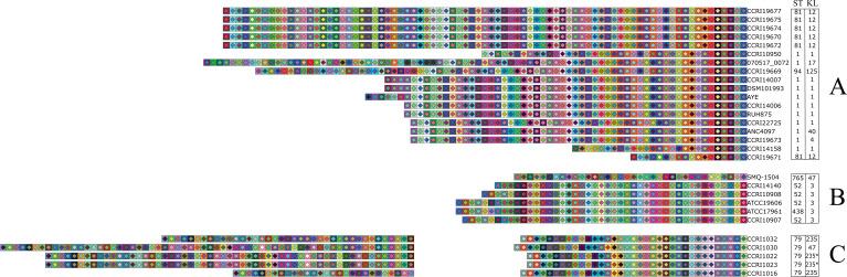 https://cdn.ncbi.nlm.nih.gov/pmc/blobs/d306/12210950/b97e7131d9fe/spectrum.02849-24.f004.jpg