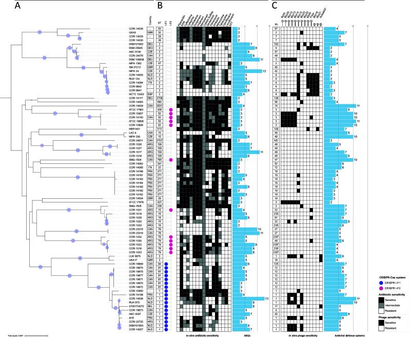 https://cdn.ncbi.nlm.nih.gov/pmc/blobs/d306/12210950/c54bd5d5a7fc/spectrum.02849-24.f003.jpg