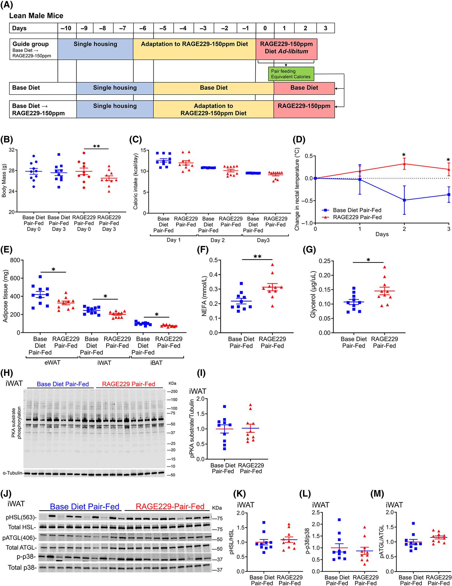 https://cdn.ncbi.nlm.nih.gov/pmc/blobs/d309/10790363/5553ff38d111/nihms-1957406-f0002.jpg