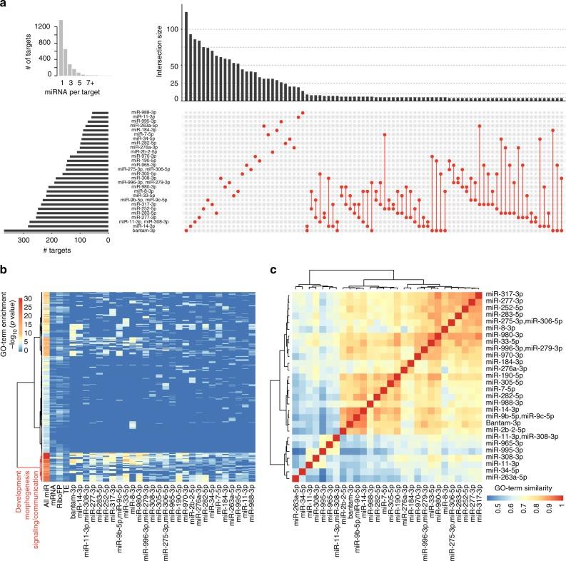 https://cdn.ncbi.nlm.nih.gov/pmc/blobs/d309/6456604/cbbc4f7ea393/41467_2019_9586_Fig5_HTML.jpg