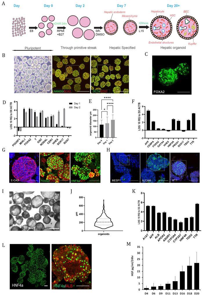 https://cdn.ncbi.nlm.nih.gov/pmc/blobs/d30b/10545717/46a961965d54/12276_2023_1074_Fig1_HTML.jpg