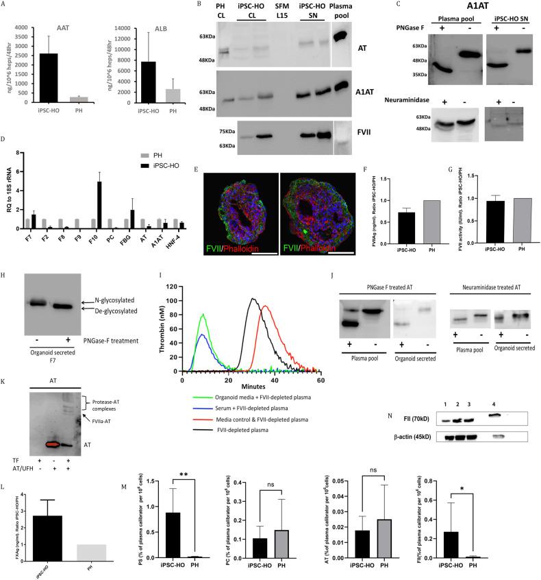 https://cdn.ncbi.nlm.nih.gov/pmc/blobs/d30b/10545717/71b5ab4815ed/12276_2023_1074_Fig8_HTML.jpg