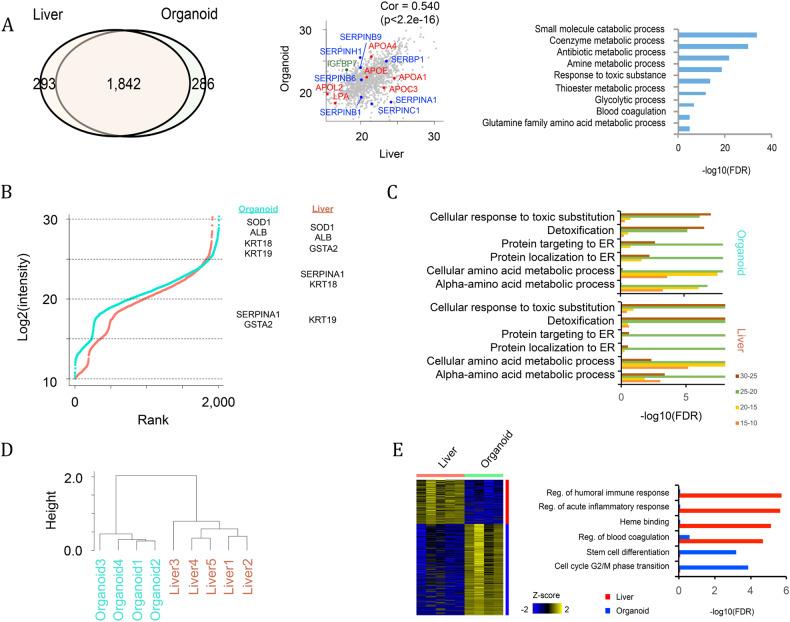 https://cdn.ncbi.nlm.nih.gov/pmc/blobs/d30b/10545717/857fcd2cc0f6/12276_2023_1074_Fig3_HTML.jpg