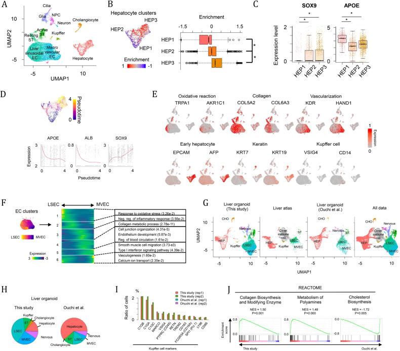 https://cdn.ncbi.nlm.nih.gov/pmc/blobs/d30b/10545717/b85591460a48/12276_2023_1074_Fig2_HTML.jpg