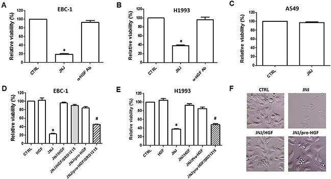 https://cdn.ncbi.nlm.nih.gov/pmc/blobs/d30b/5609899/4c73d7941b7b/oncotarget-08-63014-g001.jpg