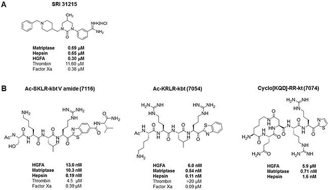 https://cdn.ncbi.nlm.nih.gov/pmc/blobs/d30b/5609899/a29fa74fa087/oncotarget-08-63014-g002.jpg