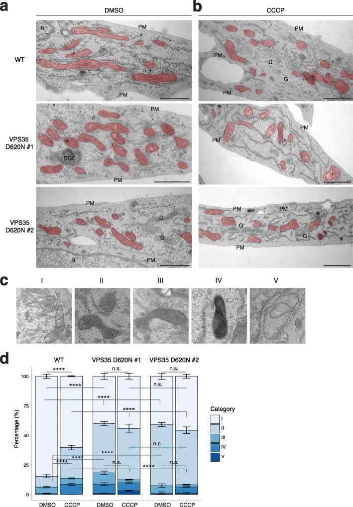 https://cdn.ncbi.nlm.nih.gov/pmc/blobs/d30c/8204421/152c9d5e4c55/40035_2021_243_Fig7_HTML.jpg