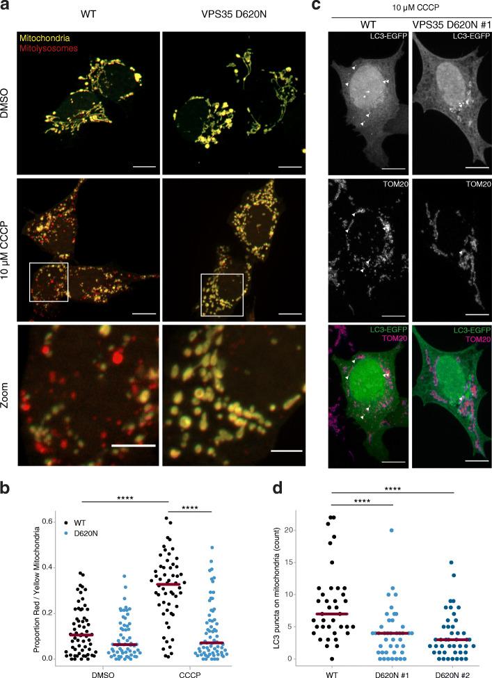 https://cdn.ncbi.nlm.nih.gov/pmc/blobs/d30c/8204421/e851e6ded7e0/40035_2021_243_Fig4_HTML.jpg