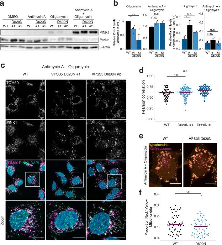 https://cdn.ncbi.nlm.nih.gov/pmc/blobs/d30c/8204421/f40ec55dba00/40035_2021_243_Fig5_HTML.jpg