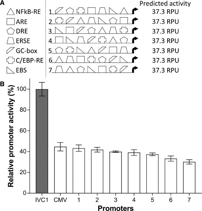 https://cdn.ncbi.nlm.nih.gov/pmc/blobs/d30d/5737543/76aa901ddbaa/gkx768fig4.jpg