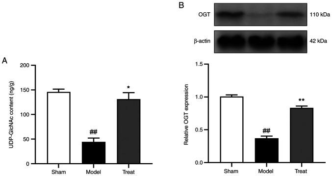 https://cdn.ncbi.nlm.nih.gov/pmc/blobs/d311/9685269/8e55953179cc/mmr-27-01-12896-g06.jpg