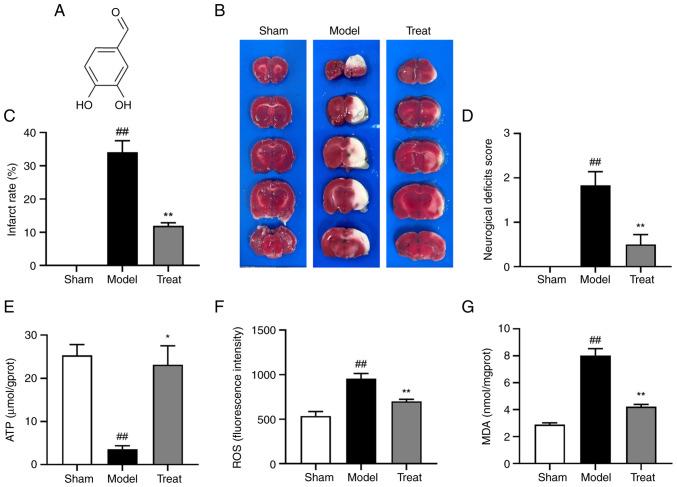 https://cdn.ncbi.nlm.nih.gov/pmc/blobs/d311/9685269/d62e2a1af870/mmr-27-01-12896-g00.jpg